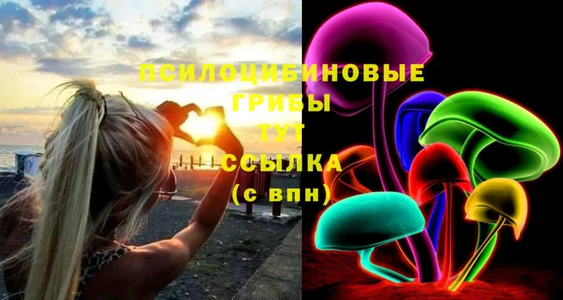 Псилоцибиновые грибы Psilocybine cubensis  где найти   гидра tor  Богучар 